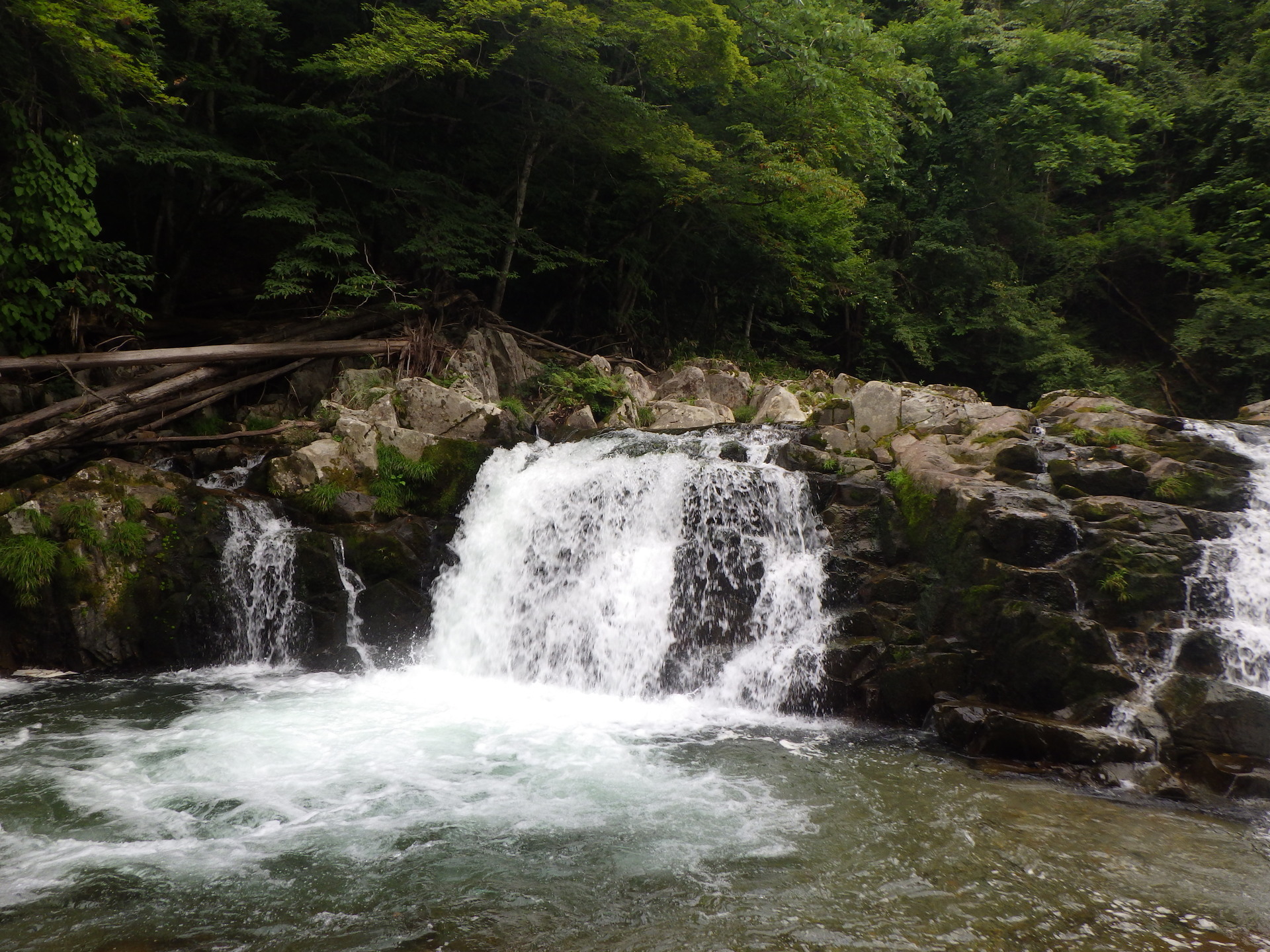 川遊び編 川上川で川遊び 高山散策 わんことカヌー The After